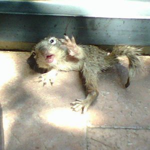 Meet your Posher, Jason